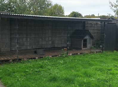 Dog run House