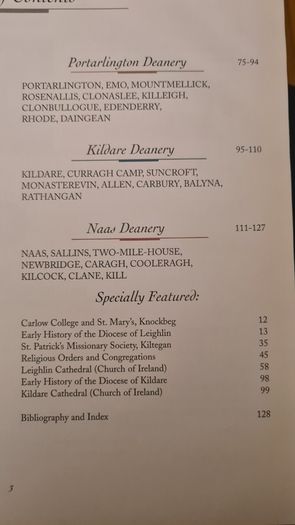 The Churches Of Kildare And Leighin 2000 A. D. Drawing's And Research By John Duffy. Edited By John Mcevoy. Large Volume Book In Very Good Condition.