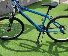 blue bike