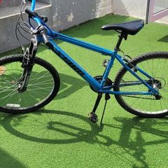 blue bike