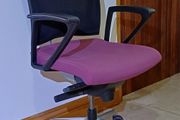 KASTEL Executive Office Chairs - Pink