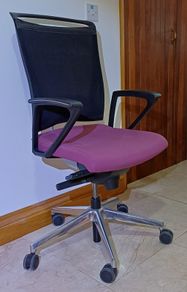 KASTEL Executive Office Chairs - Pink