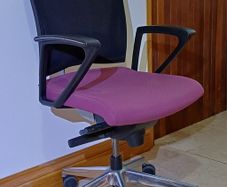 KASTEL Executive Office Chairs - Pink