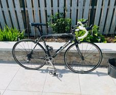 Sensa Toscana Carbon Fiber Frame Road Bike