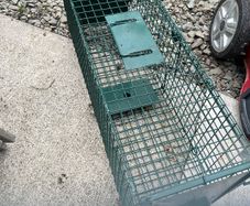 Trap cage
