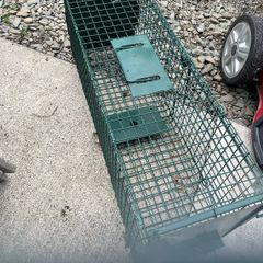 Trap cage