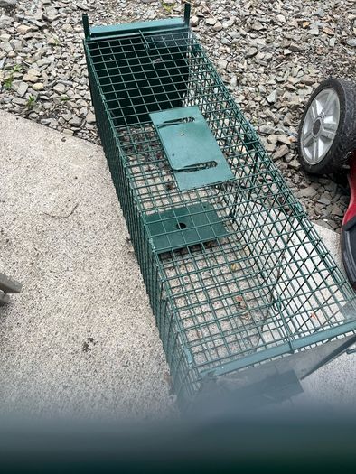 Trap cage