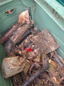 Fire wood