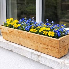 Meter Long Planters for small flowers / herbs