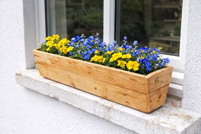 Meter Long Planters for small flowers / herbs