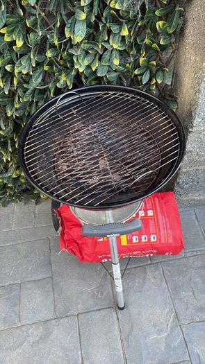 bbq webber