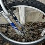 Bike Image 2