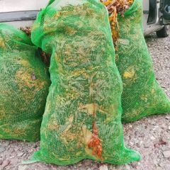 Seaweed Fertilizer + Seaweed liquid fertilizer.