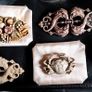 Five Welsh Brooches Image 2