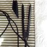 Wahl Pro Glide Hair Straightener - Black Image 3