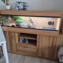 vivarium with cabinet Image 3