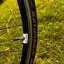 Giant Contend 2 (2017) Image 5