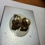 Christian Dior Earrings Image 3