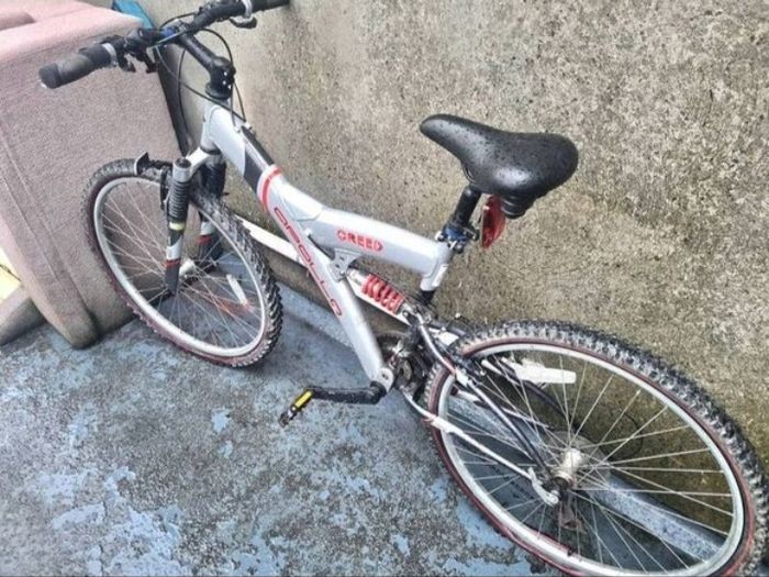 Apollo Mountain Bike