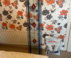 free patterened window glass