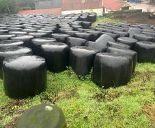 Silage Bales