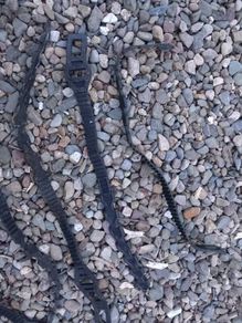 Tree strapes