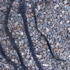 Tree strapes