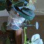Decorative ladder Image 3