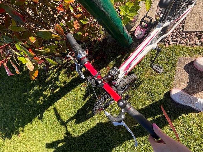 Girls Bike 20"