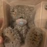 me to you collectable set Image 4