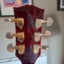 Gibson es345 1973 Image 6