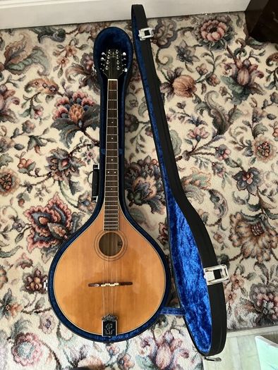 Irish Bouzouki