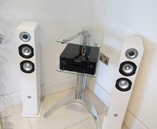 Mosscade HD-T80 Floorstanding Speakers