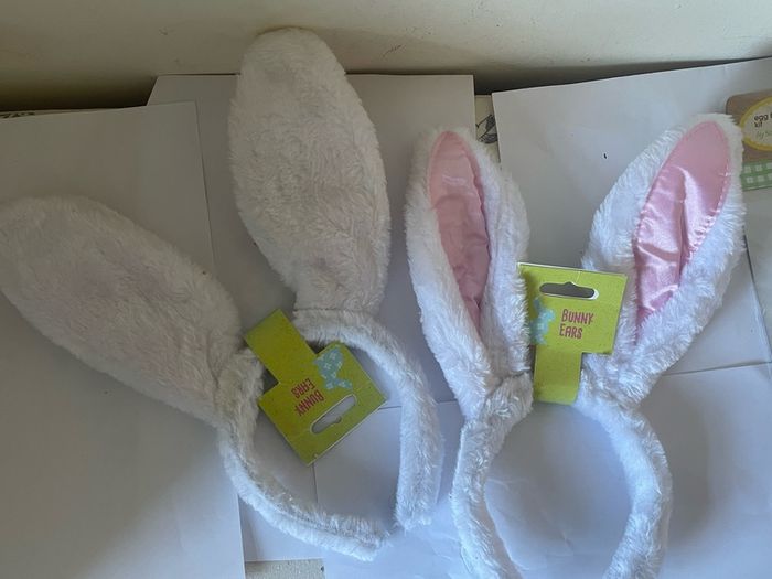 Easter Bunny Egg Hunt kit - Art and crafts package