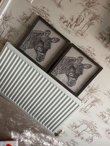 picture frames