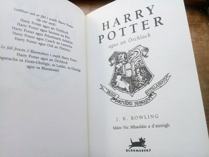 Rare Harry Potter and the Philosopher's Stone Irish 1st Edition