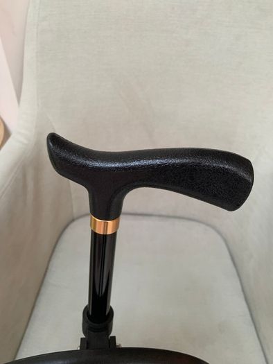 Walking stick with seat
