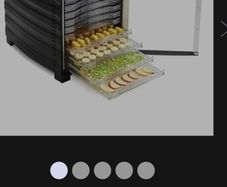 Food Dehydrator 10 tray