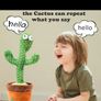 Dancing Cactus Image 4