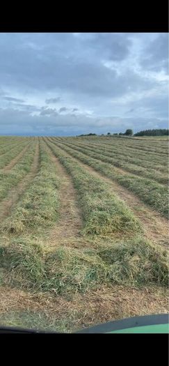 Silage haylage