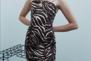 Zara dress