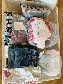 Baby girl 0-9 months bundle