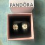 Pandora earrings Image 5