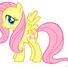 PetitePony