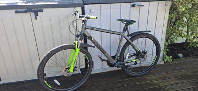 bike 29"