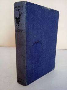 England's Birds by W. K. Richmond (PT37)