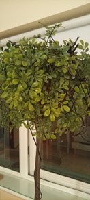 Plastic Tree