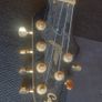 Caparison Horus Made in Japan Image 6