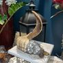 Rams Horn Smokey Quartz Soldered Decoration Taxidermy Ethically Sourced Image 8