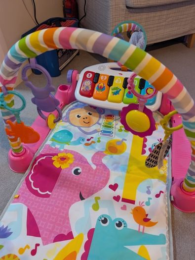 Baby Play Gym